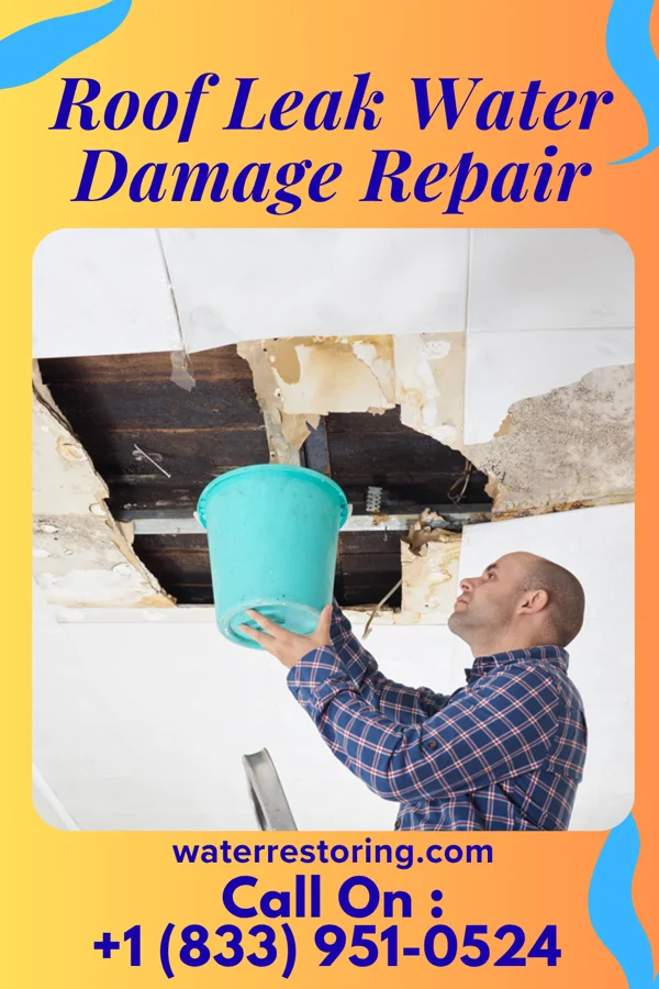 Roof Leak Water Damage Repair in Lansing, KS