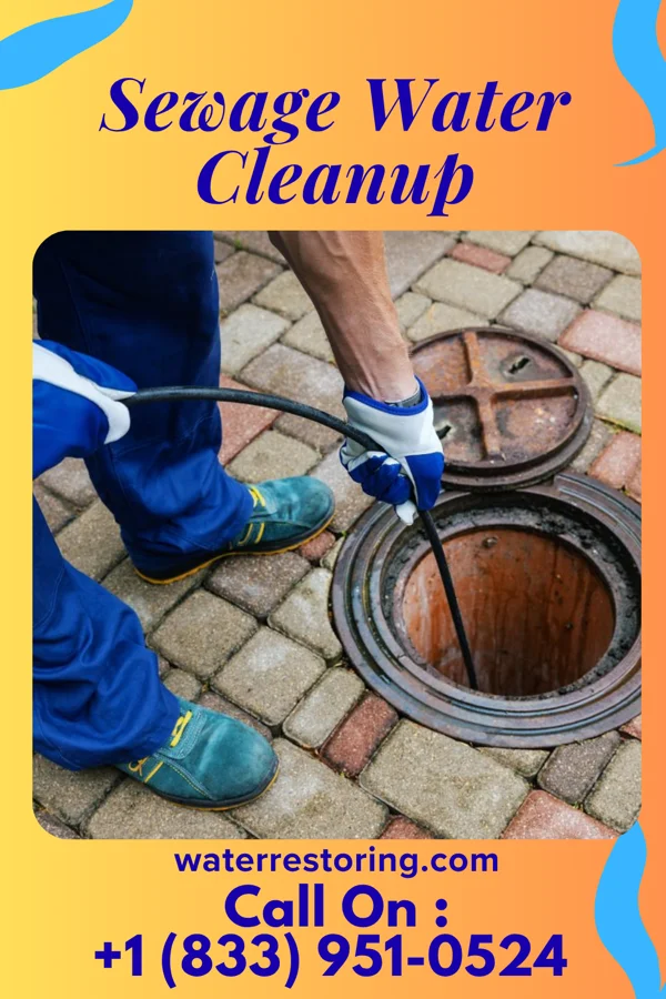 Sewage Water Cleanup in Lansing, KS